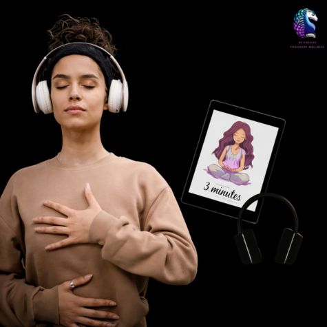 Sistema Neuro-Pocket de Recalibração Mental Diária